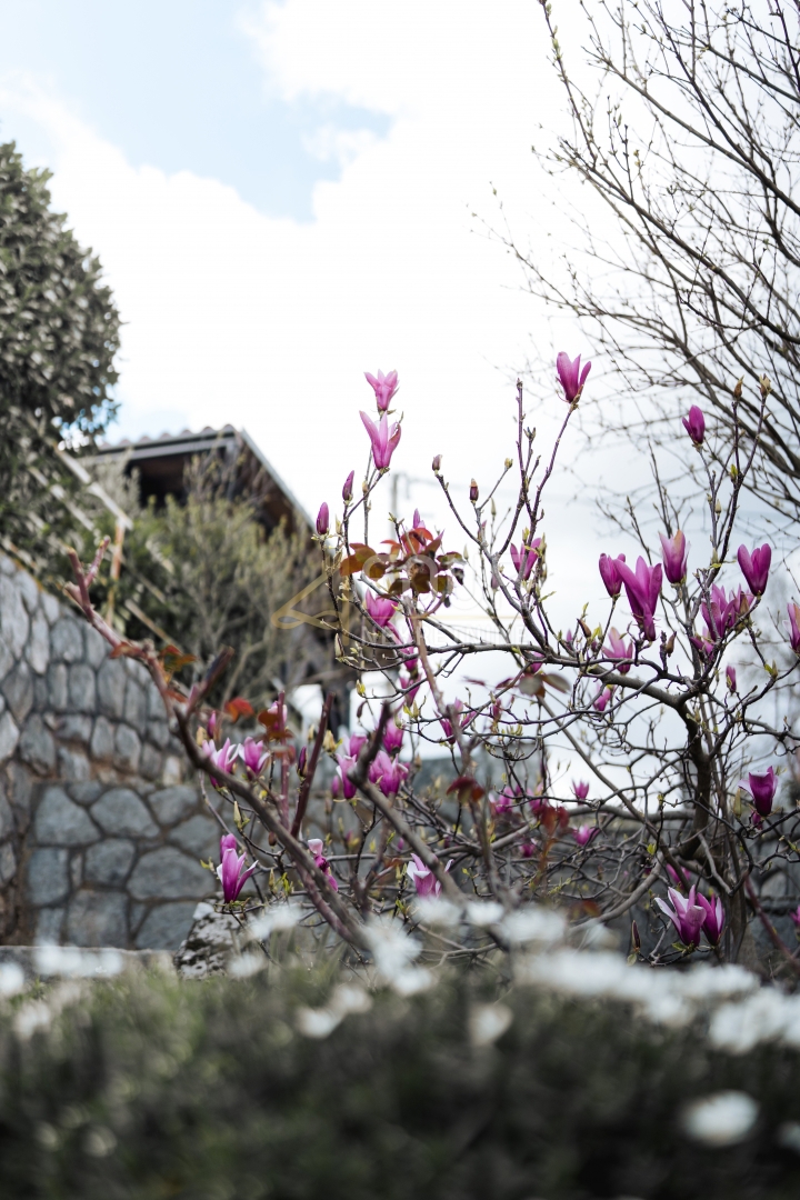 Veprinac, Opatija - Okolica, 400m2