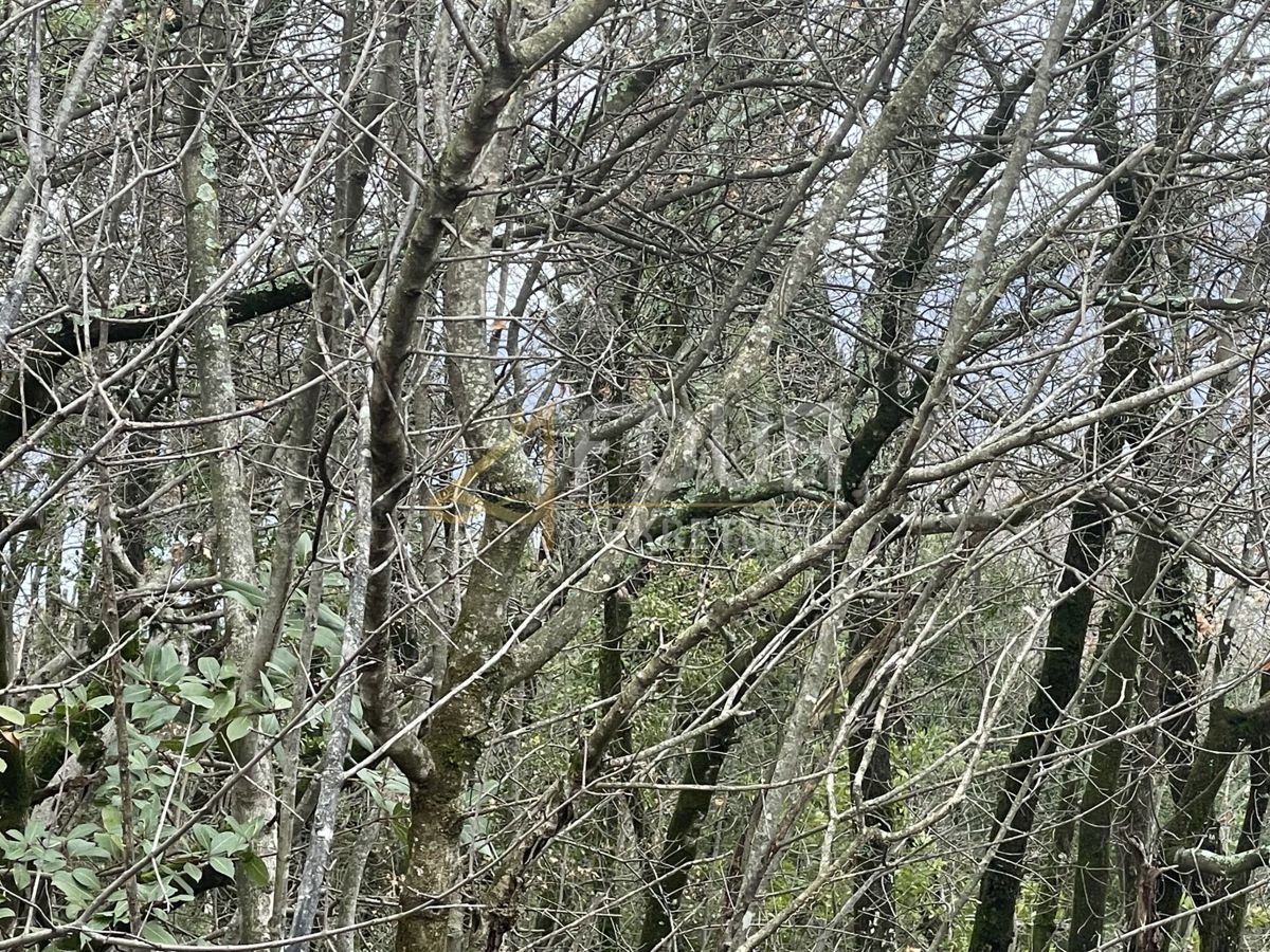 Brseč, Mošćenička Draga, 1.590m2