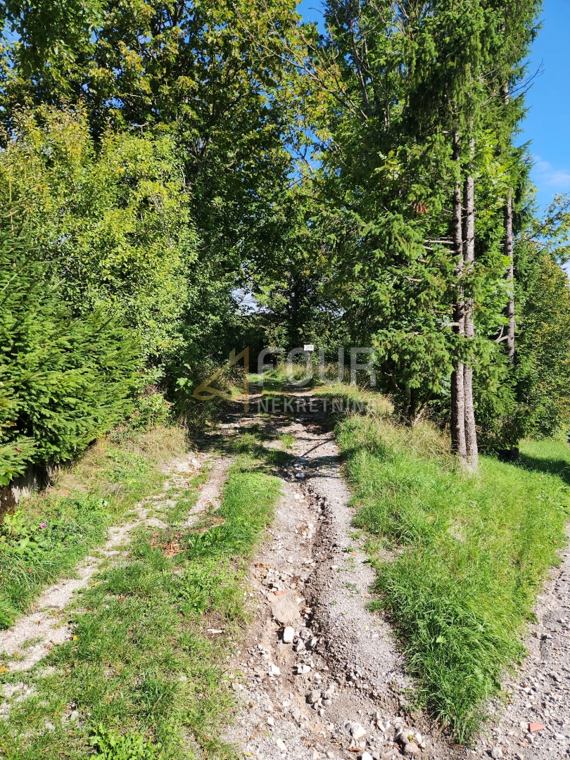 Stari Laz, Ravna Gora, 766m2