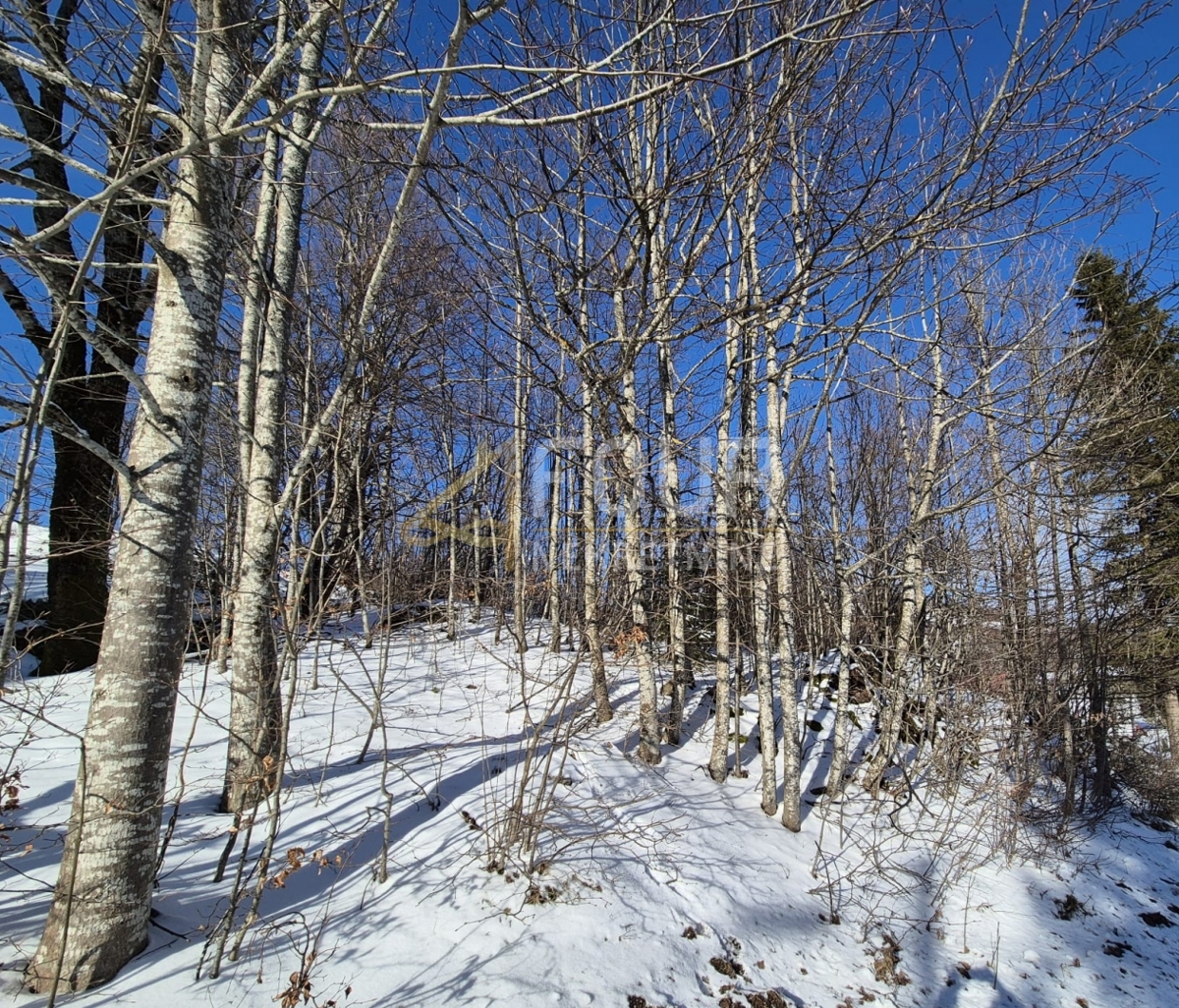 Stari Laz, Ravna Gora, 766m2