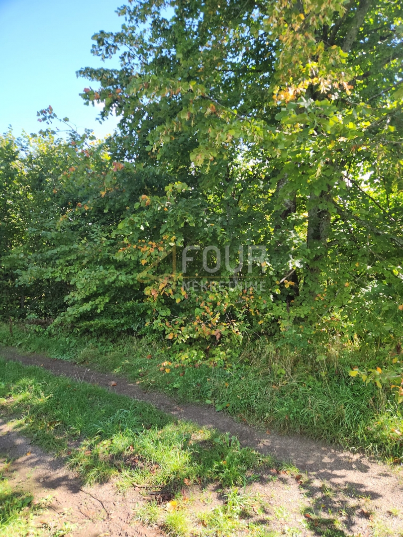 Stari Laz, Ravna Gora, 766m2