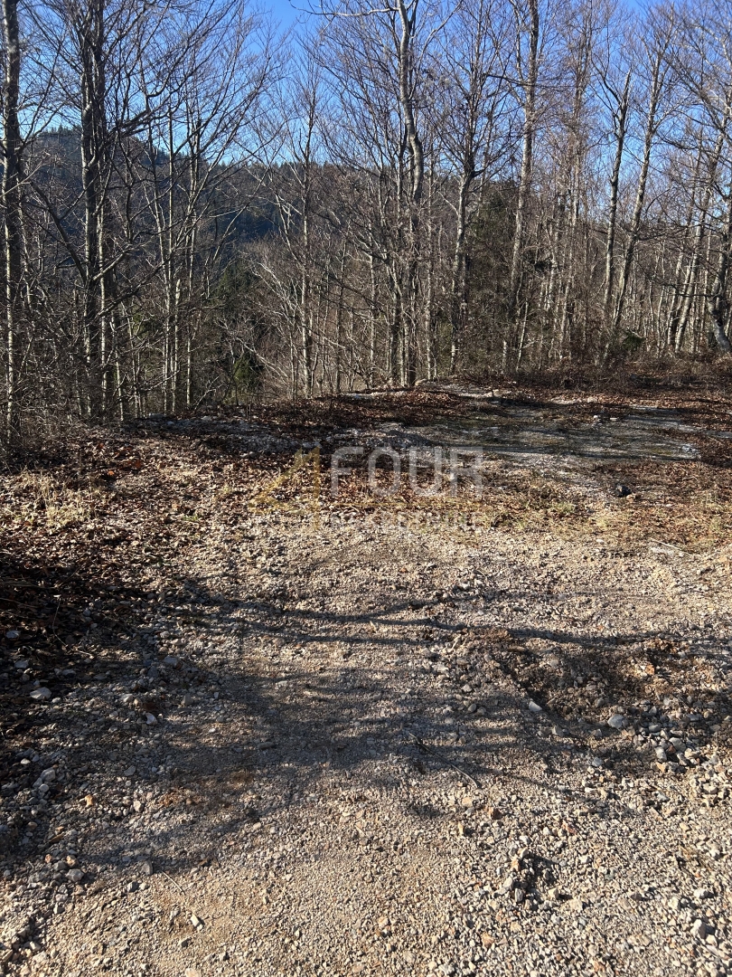 Brestova Draga, Mrkopalj, 600,64m2