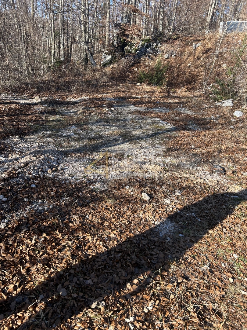 Brestova Draga, Mrkopalj, 600,64m2