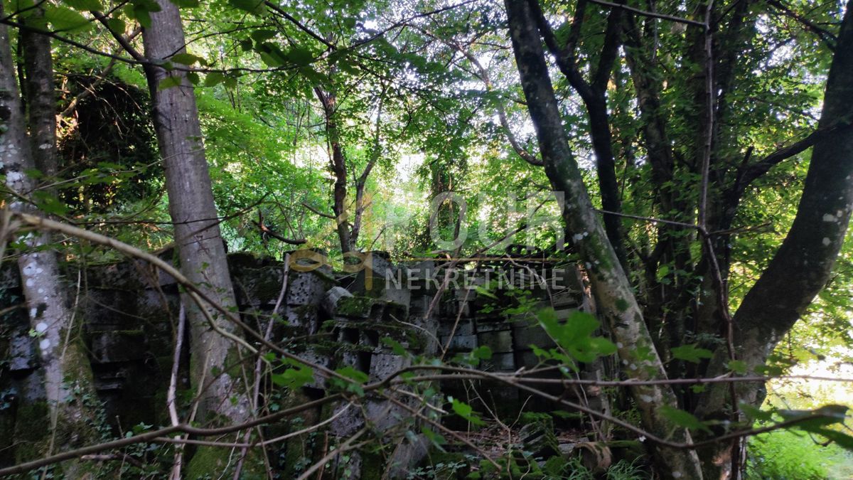 Dražice, Jelenje, 2.442m2