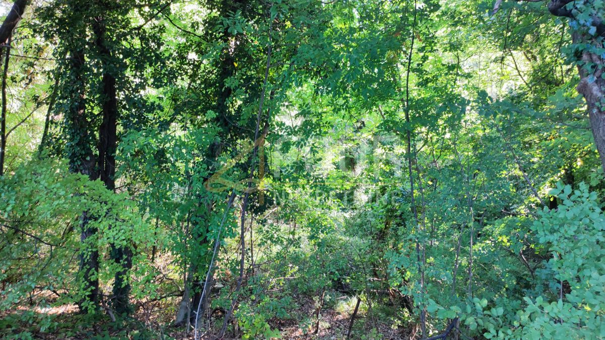 Dražice, Jelenje, 2.442m2