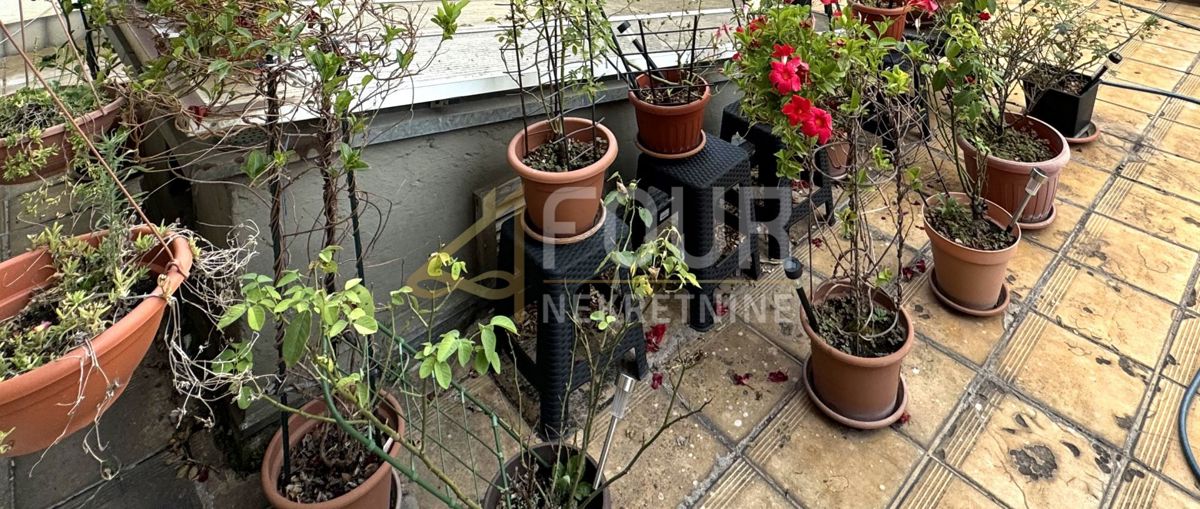 Sušak, Rijeka, 159,13m2