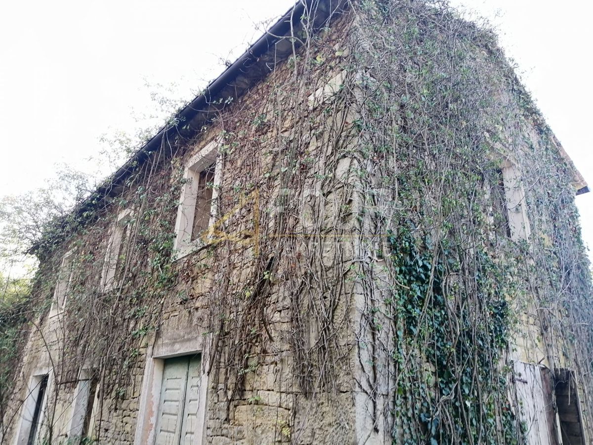 Motovun, 360m2