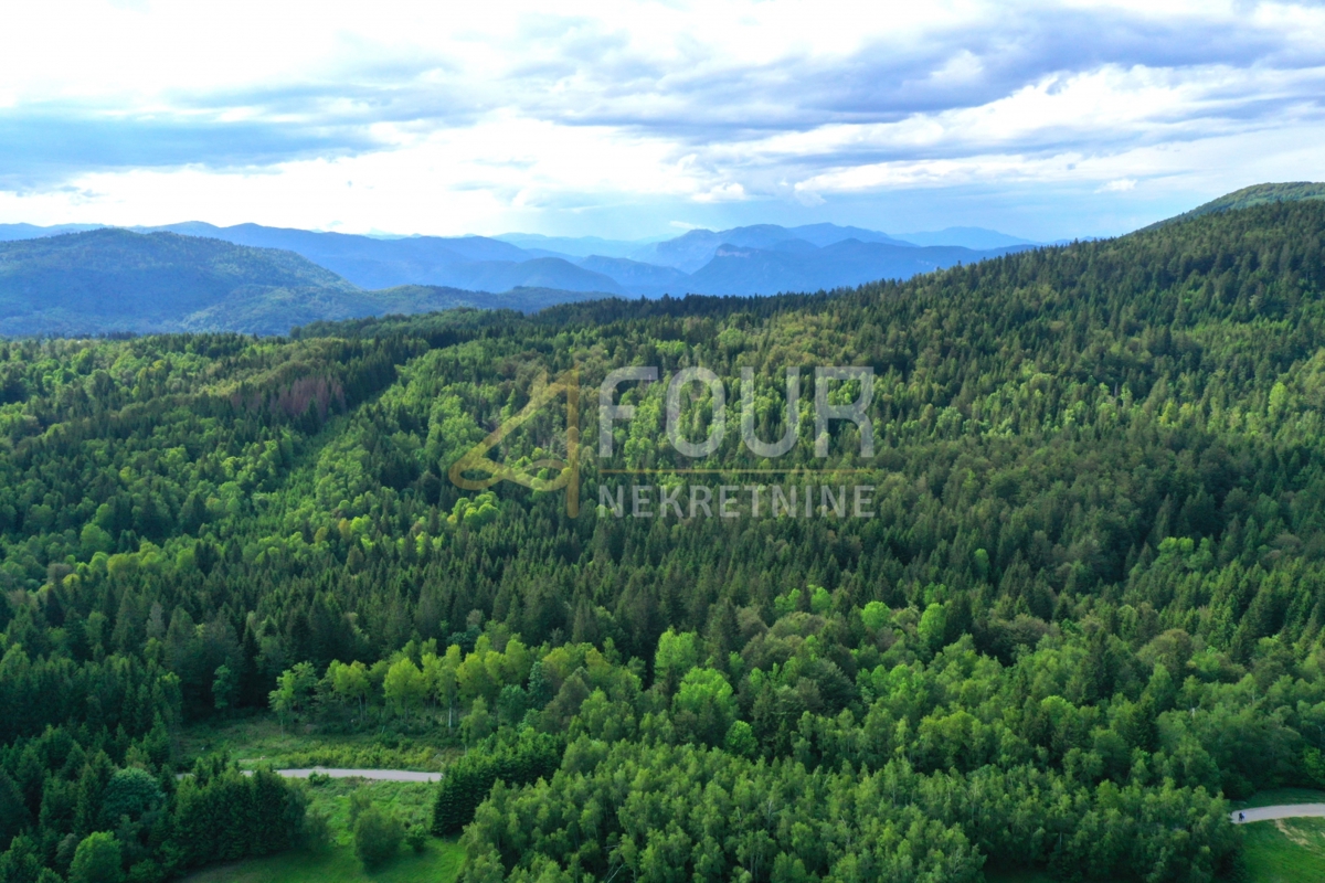 Ravna Gora, 6.301m2