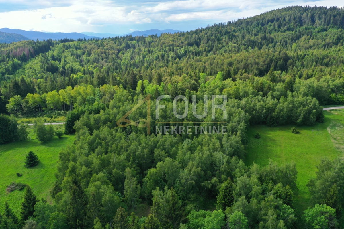 Ravna Gora, 6.301m2