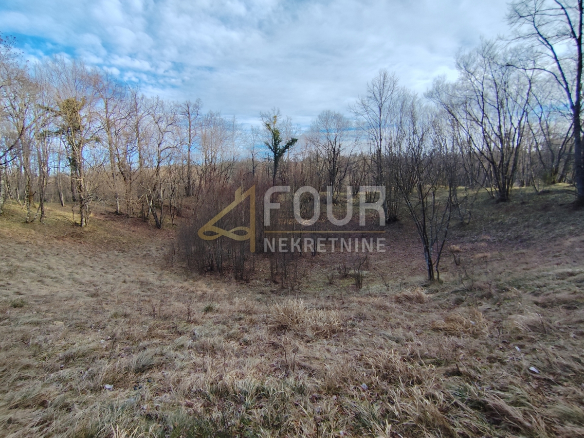 Saršoni, Viškovo, 6.029m2