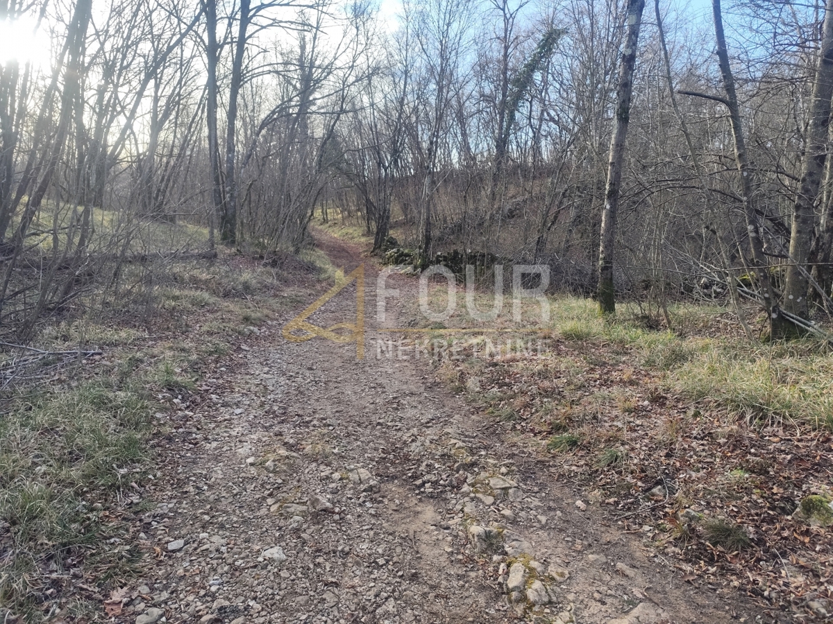 Saršoni, Viškovo, 6.029m2