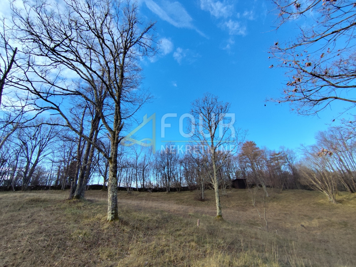 Saršoni, Viškovo, 6.029m2