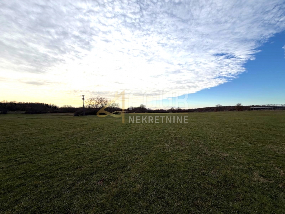 Istria, Parenzo - zona circostante, terreno agricolo