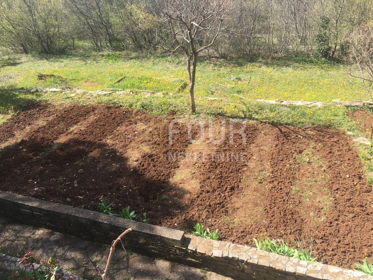 Trget, Raša, 247,26m2