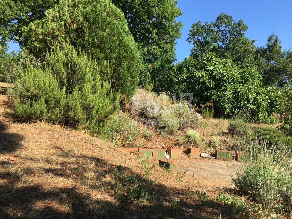 Trget, Raša, 247,26m2