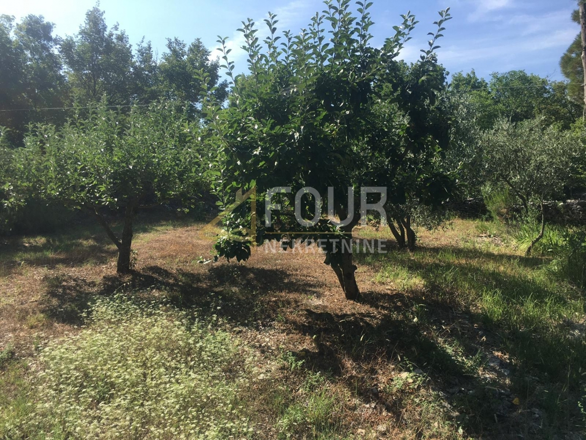 Trget, Raša, 247,26m2