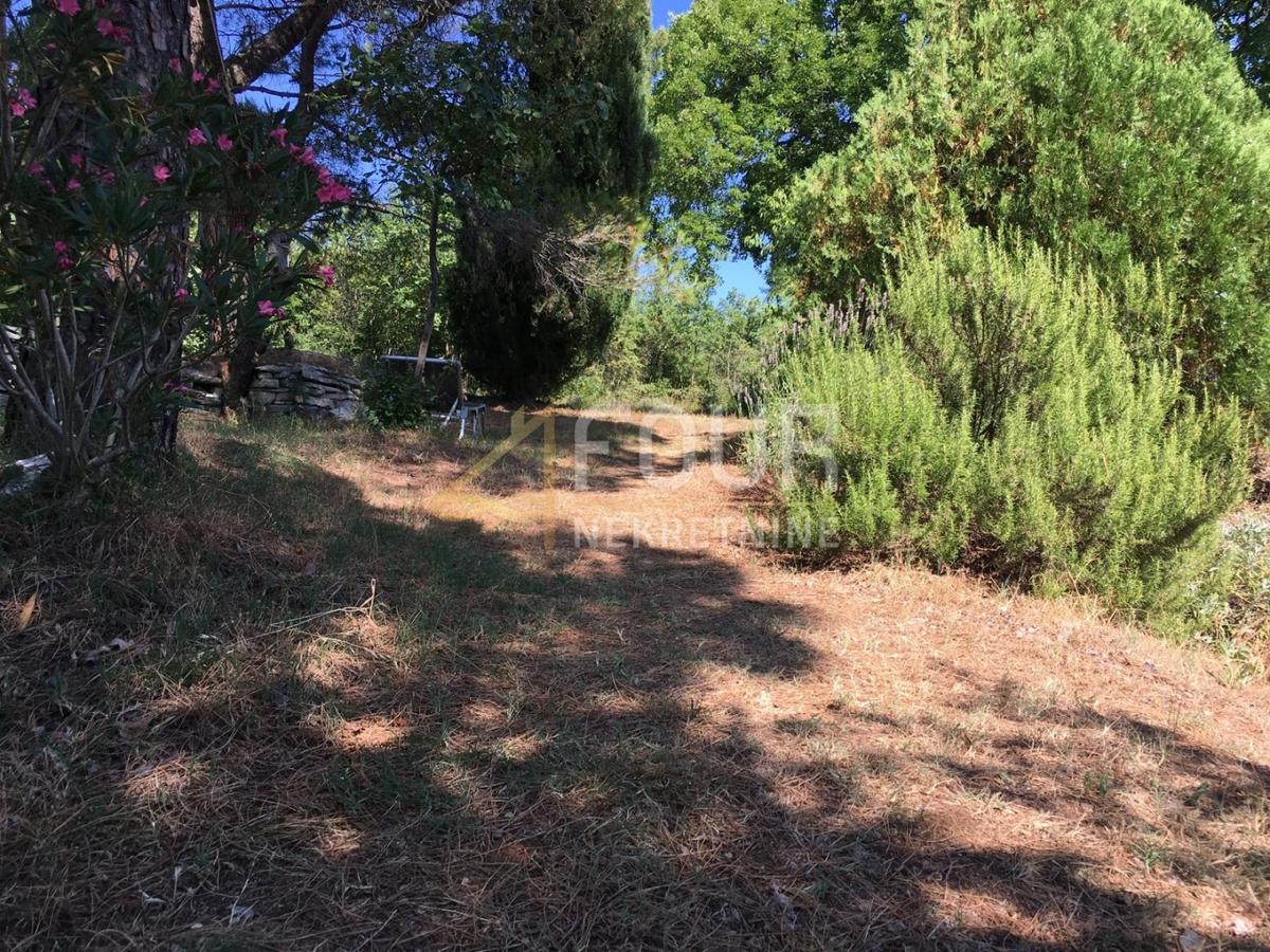 Trget, Raša, 247,26m2