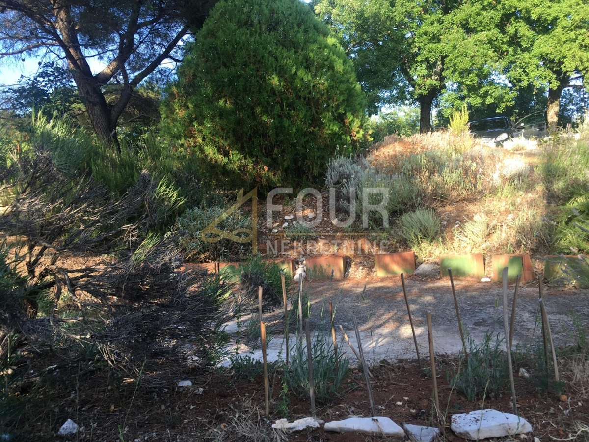 Trget, Raša, 247,26m2