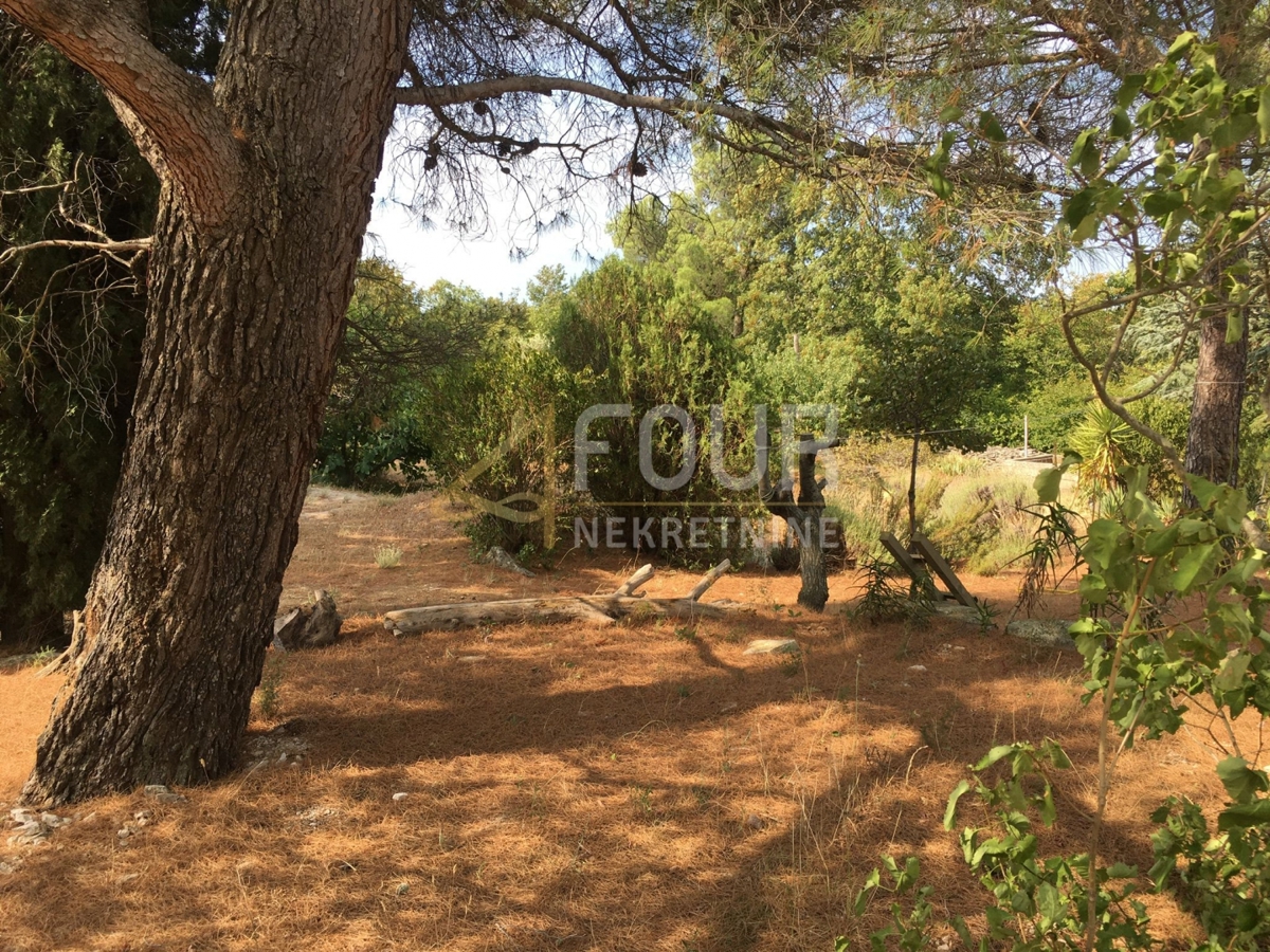 Trget, Raša, 247,26m2