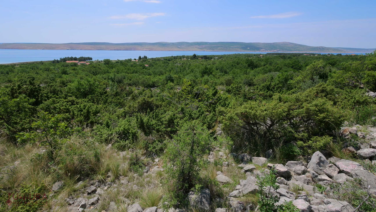 STARIGRD - SELINE, VENDITA TERRENO EDIFICABILE 3264 M2