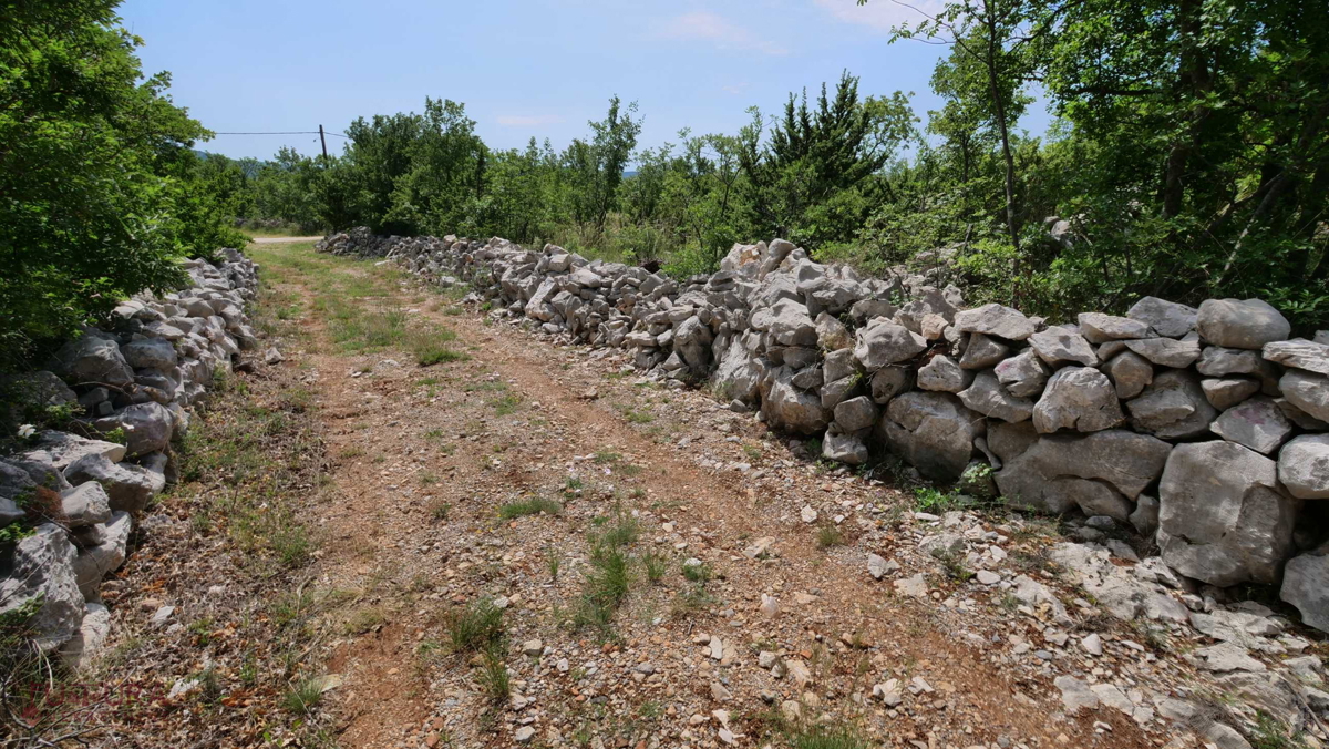 STARIGRD - SELINE, VENDITA TERRENO EDIFICABILE 3264 M2