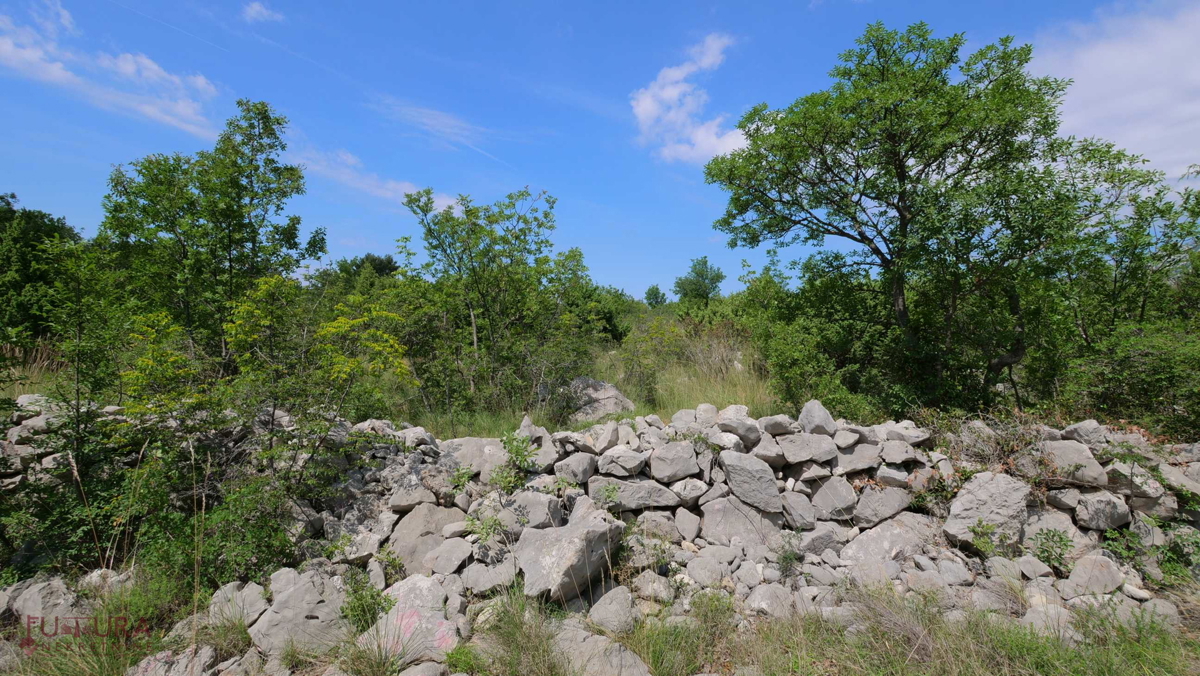 STARIGRD - SELINE, VENDITA TERRENO EDIFICABILE 3264 M2