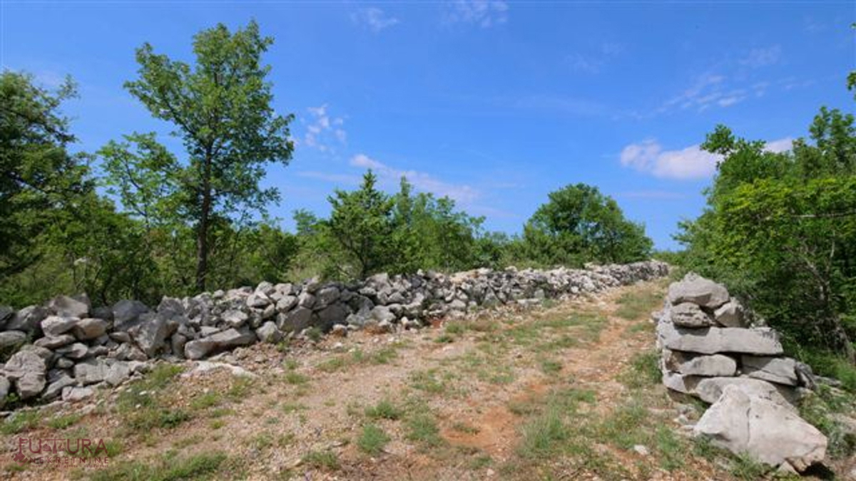 STARIGRD - SELINE, VENDITA TERRENO EDIFICABILE 3264 M2