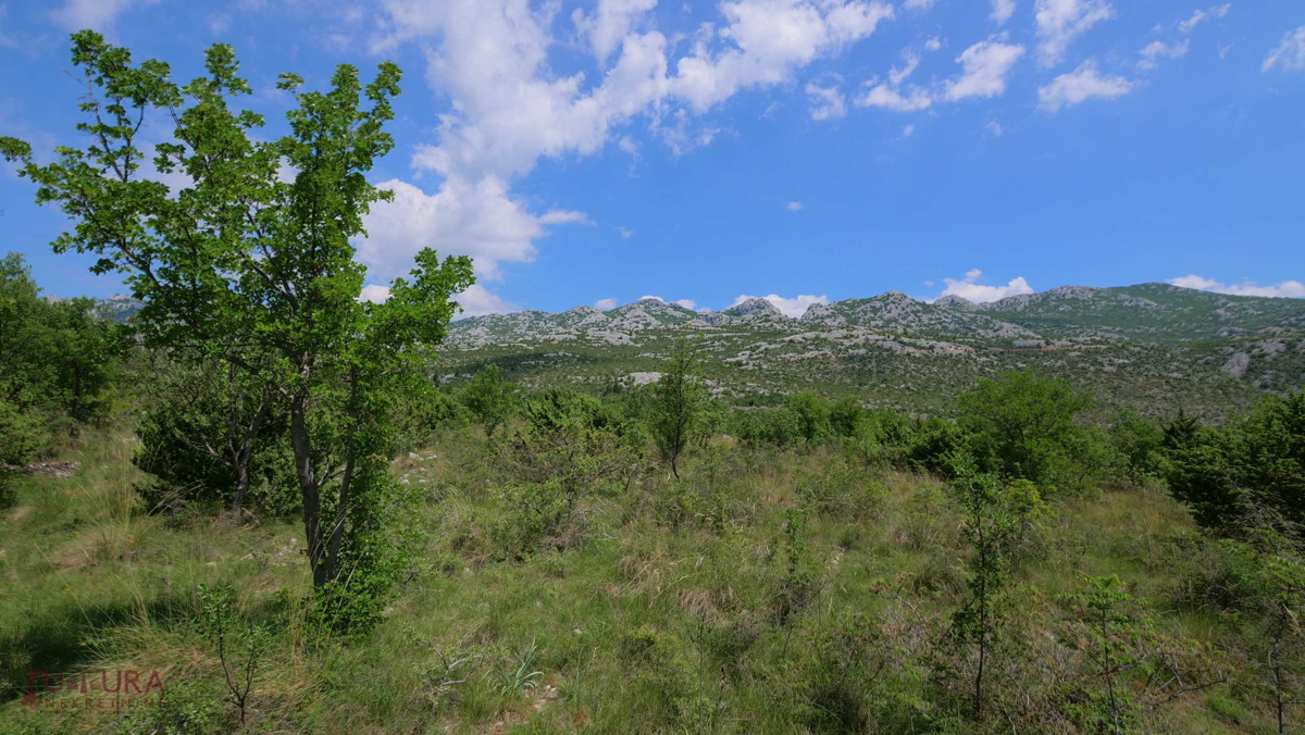 STARIGRD - SELINE, TERRENO EDIFICABILE 3264 M2, VENDITA, VISTA MARE, POSIZIONE!!!