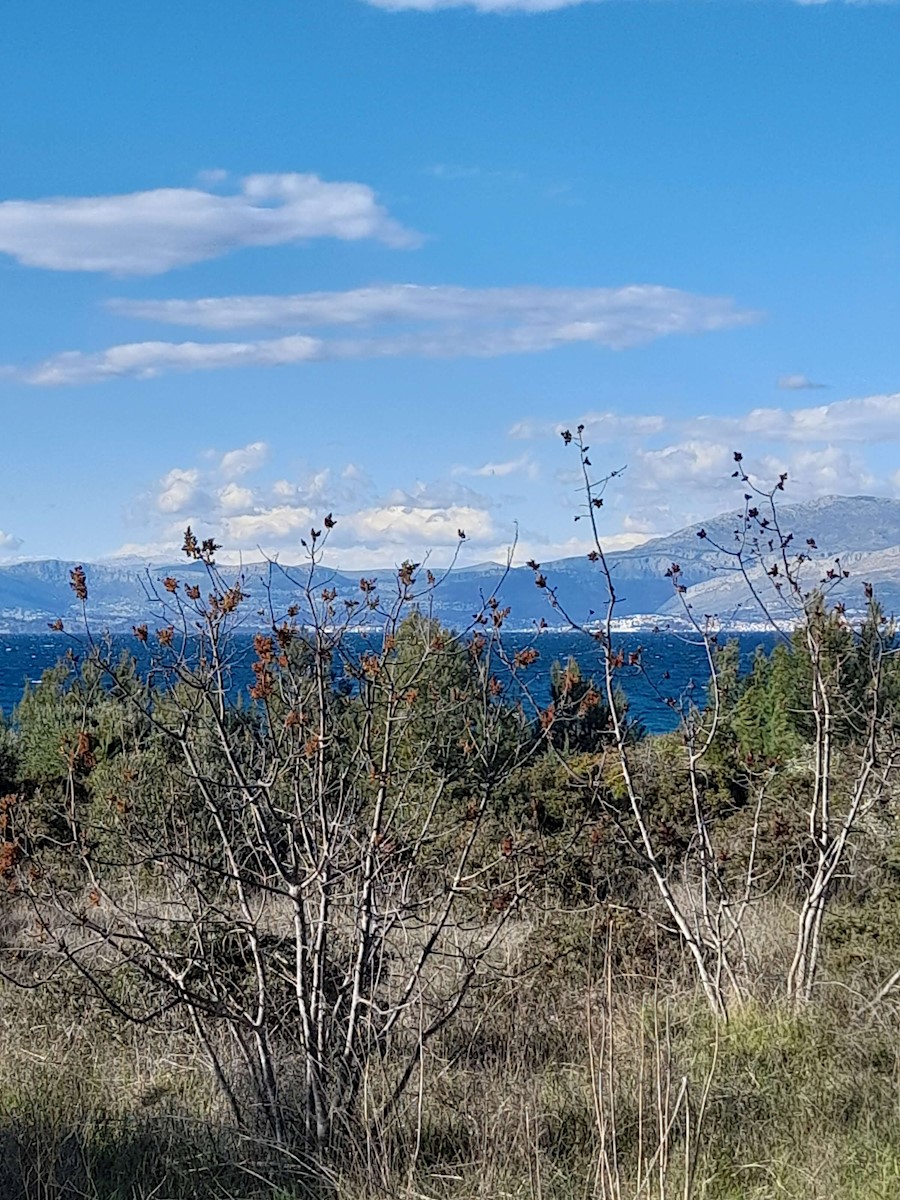 Terreno agricolo a Milna con 150 ulivi coltivati, vite e seminativo