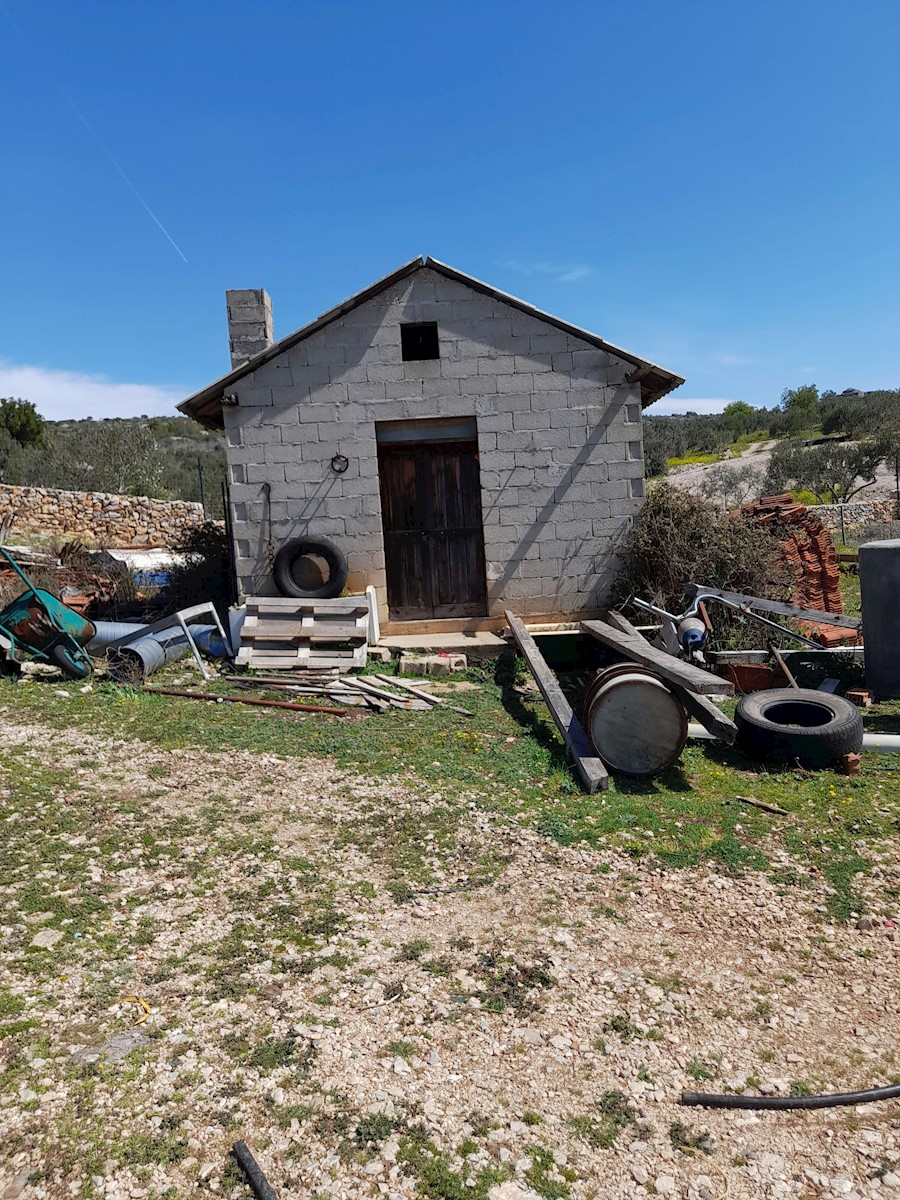 Terreno agricolo a Milna con 150 ulivi coltivati, vite e seminativo