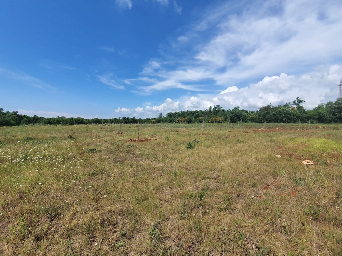 Terreno agricolo Istria