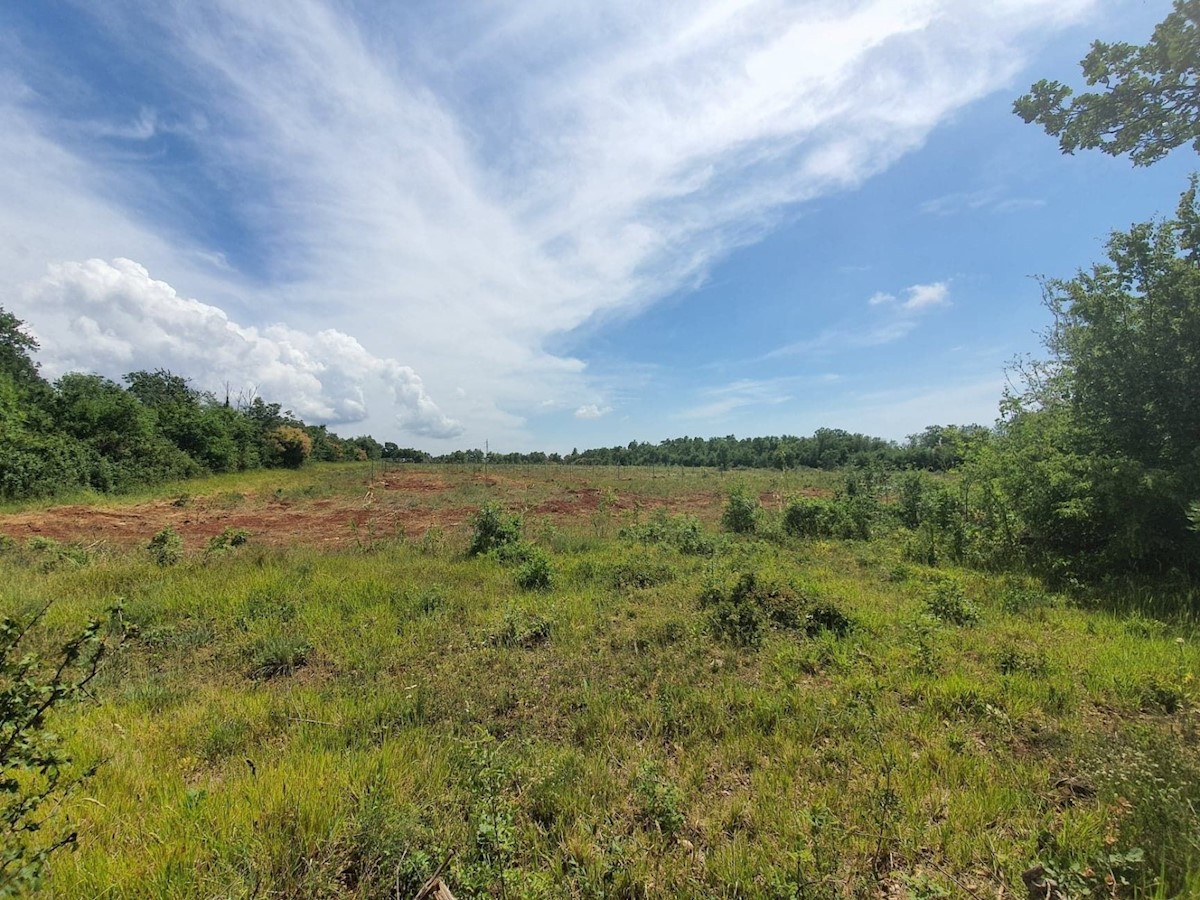 Terreno agricolo Istria