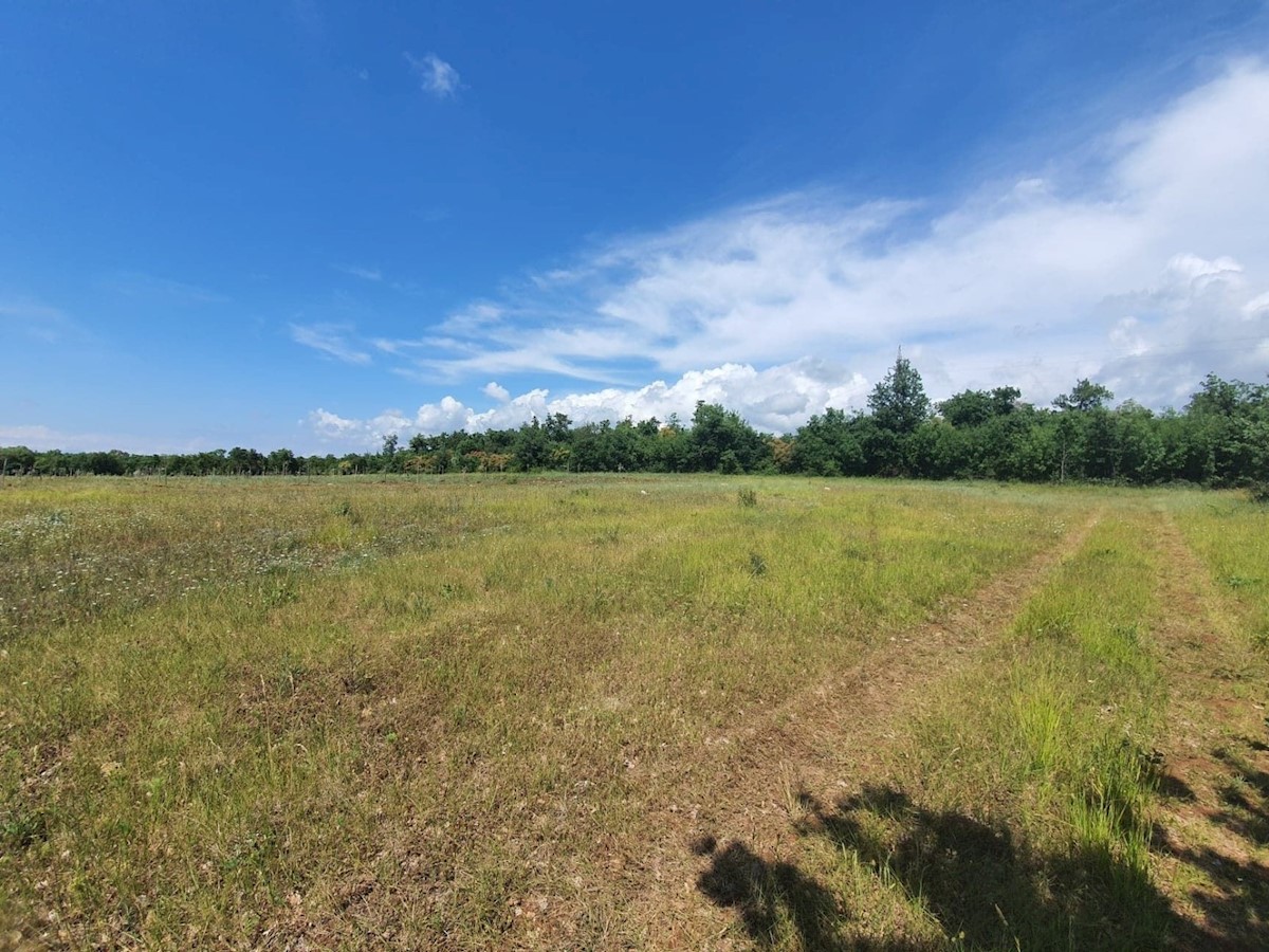 Terreno agricolo Istria