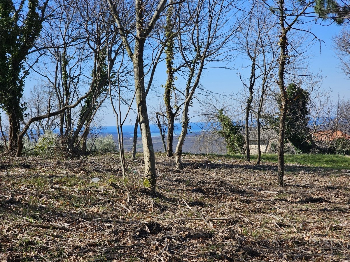 Terreno Edificabile con Vista Mare in Vendita vicino a Buie – 1000 m², Zona Tranquilla