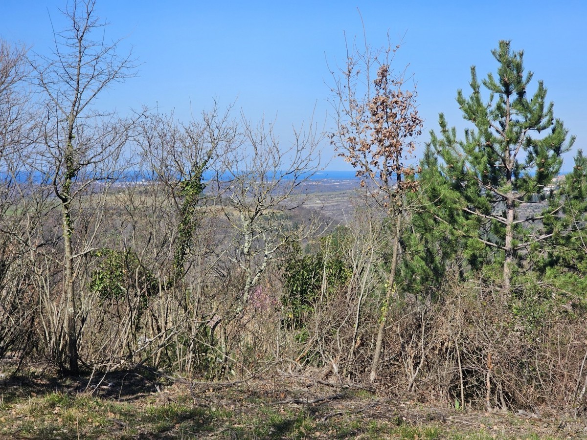 Terreno Edificabile con Vista Mare in Vendita vicino a Buie – 1000 m², Zona Tranquilla