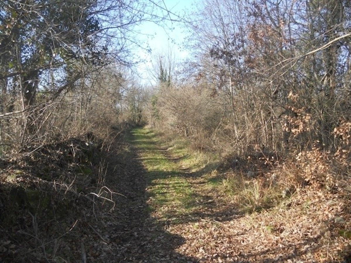 Terreno Poreč