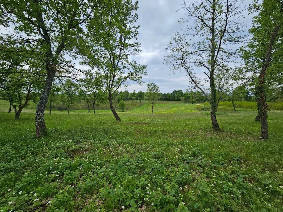 terreno edifibabile pvicino a Višnjan