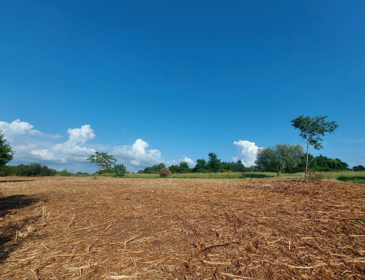 terreno edificabile 5 km da Umago