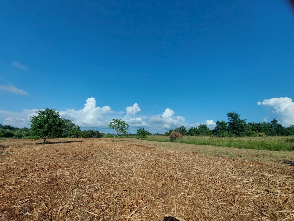 terreno edificabile 5 km da Umago