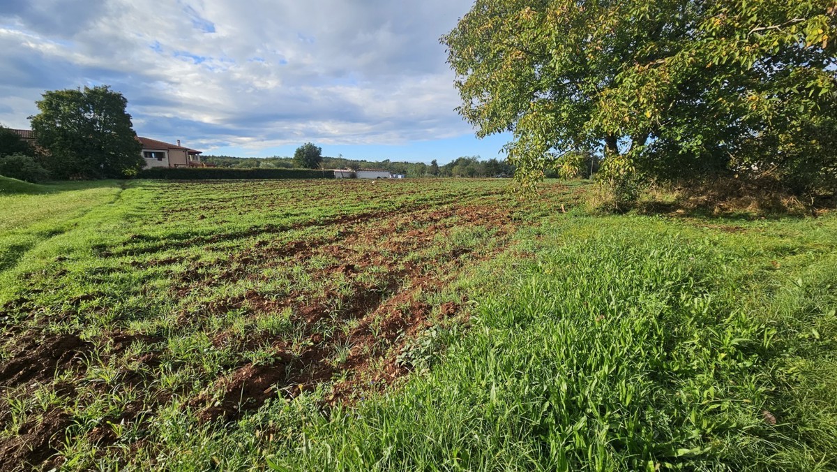 Terreno edificabile 2.357 m² vicino a Vižinada – ideale per ville, in vendita