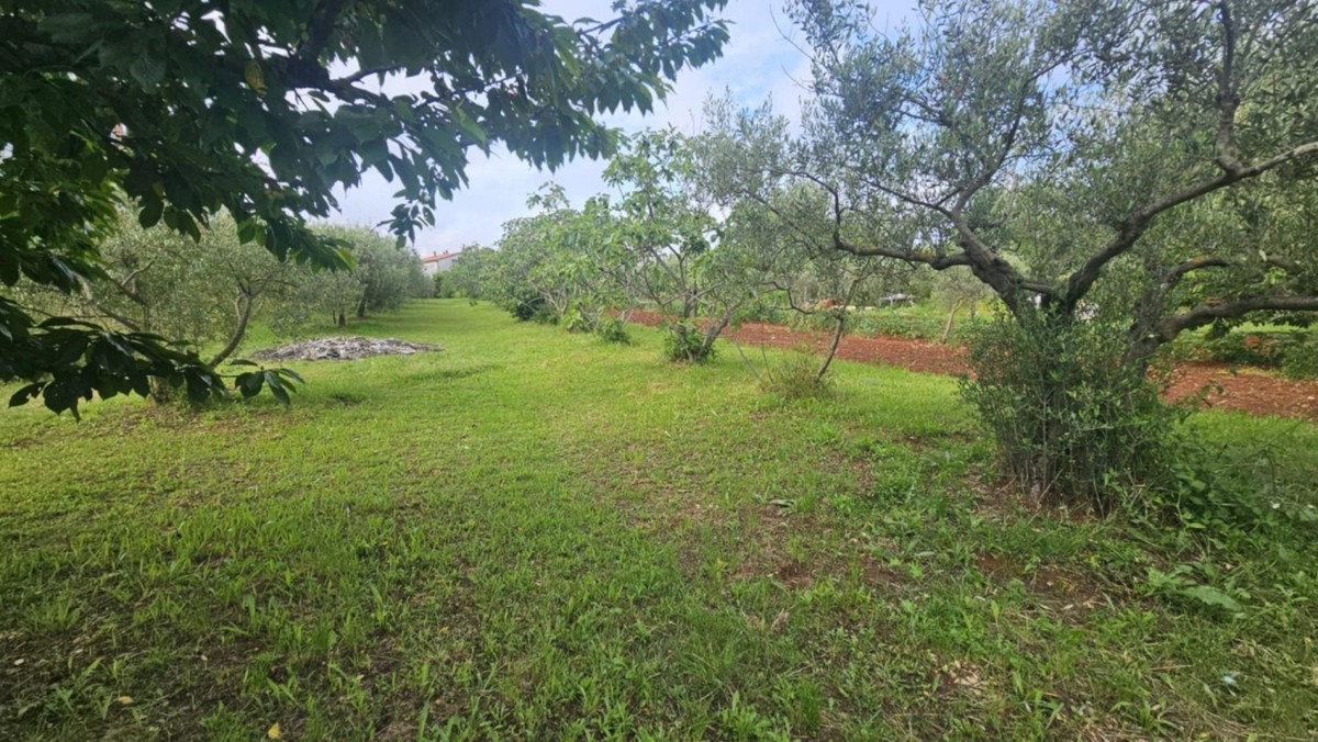 Terreno edificabile di  a Parenzo, a circa 1500 m dal mare