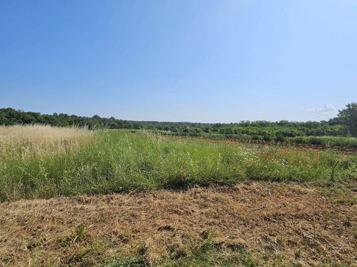 Terreno edificabile vicino a Parenzo