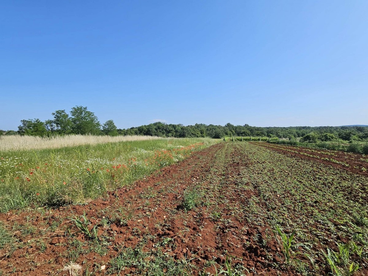 Terreno edificabile vicino a Parenzo