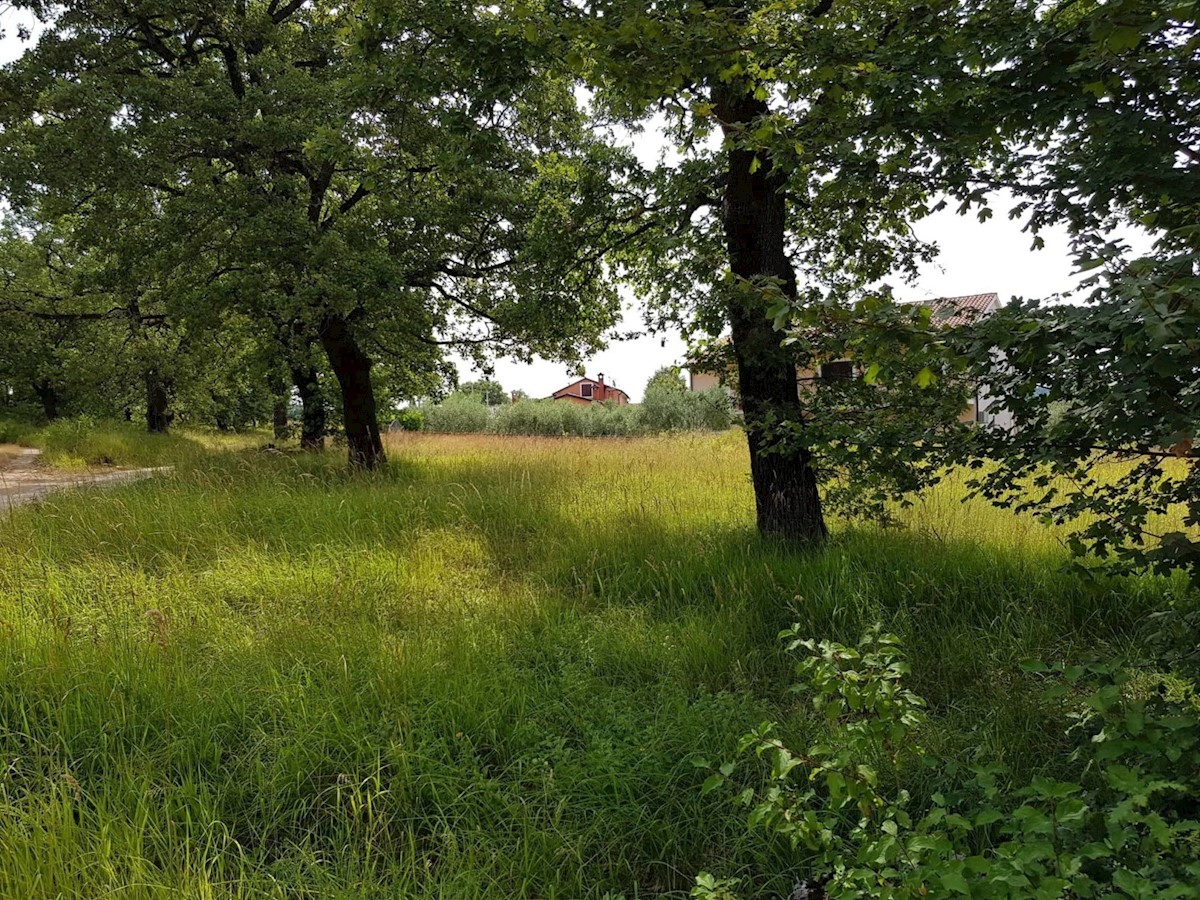 Terreno Vižinada