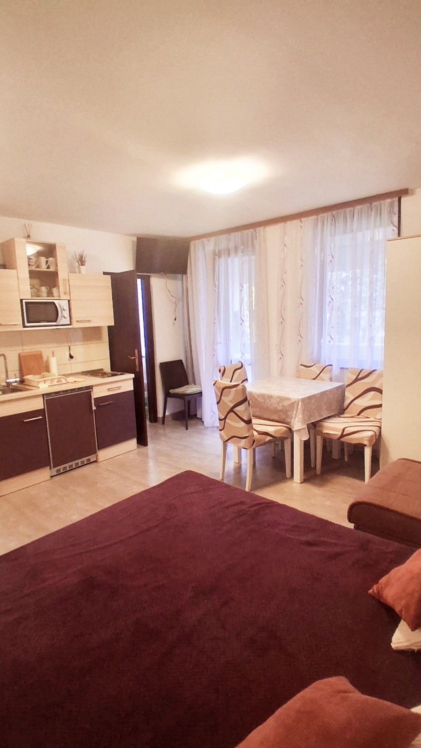 Appartamento Ristrutturato 30 m² con Loggia a Červar Porat – In Vendita