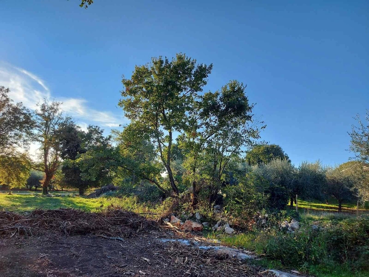 terreno edificabile vicino a Parenzo