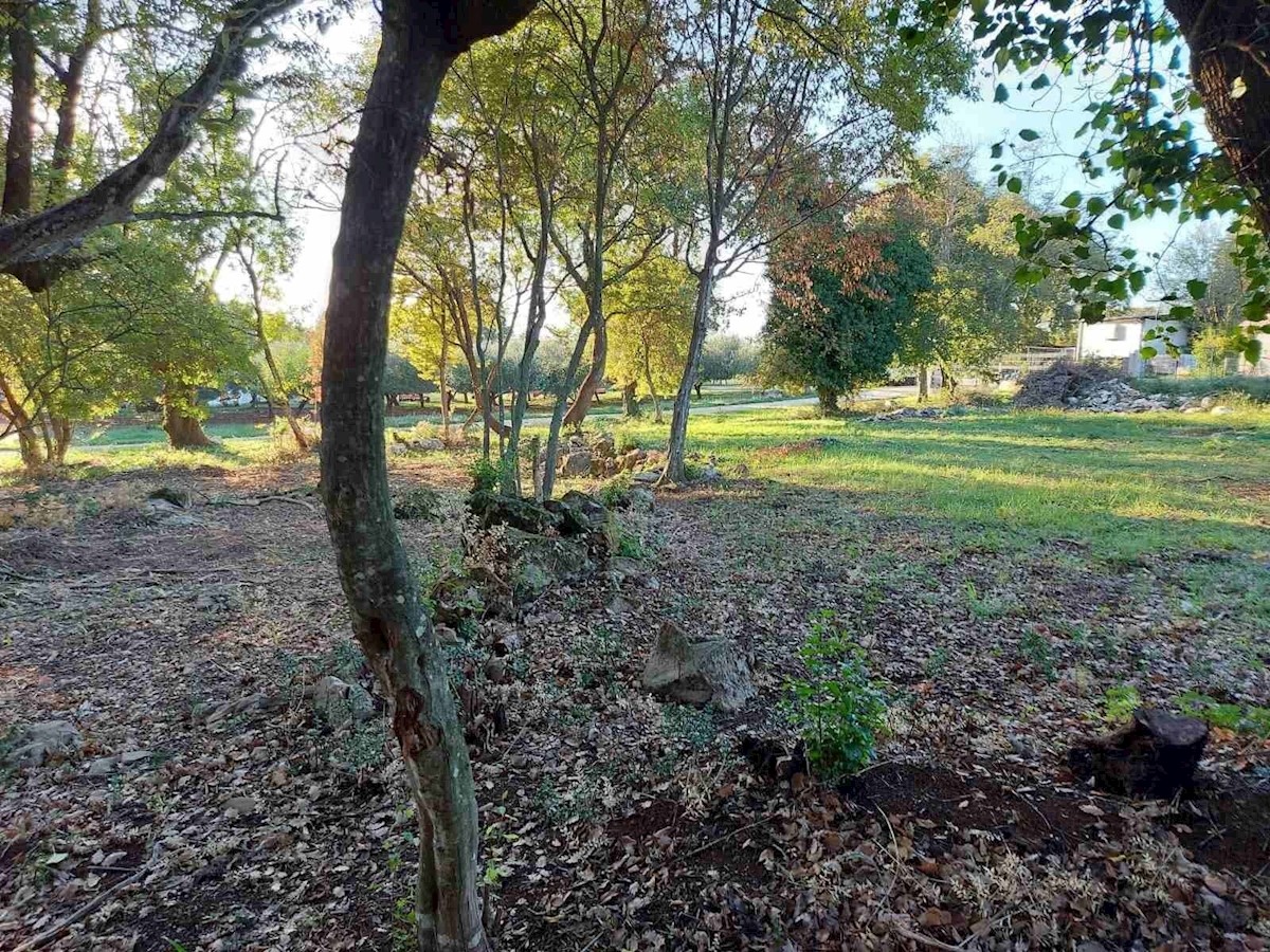 terreno edificabile vicino a Parenzo