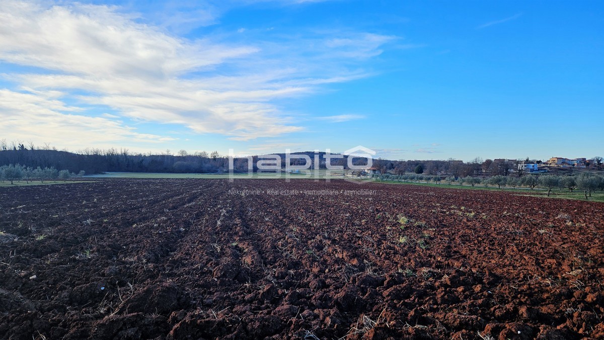 Dintorni di Parenzo - Terreno edificabile ai margini della zona urbanizzata, posizione tranquilla