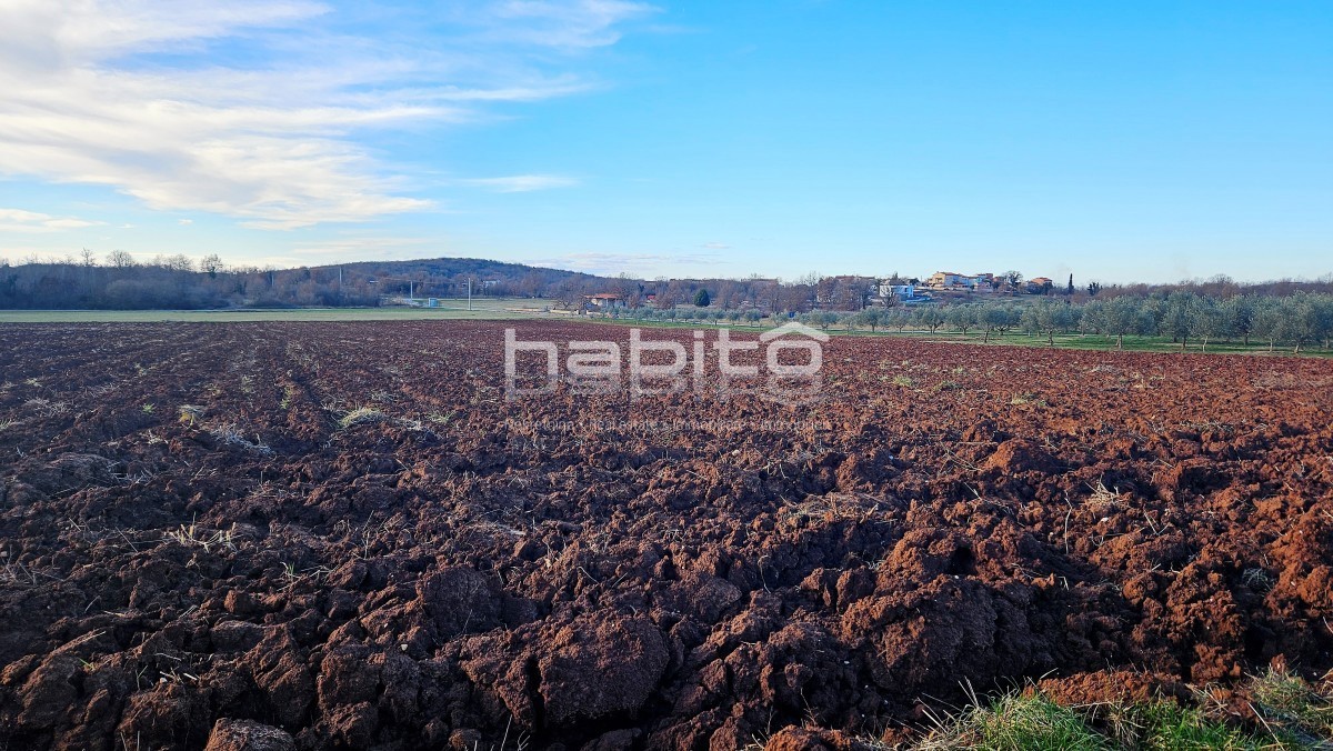 Dintorni di Parenzo - Terreno edificabile ai margini della zona urbanizzata, posizione tranquilla