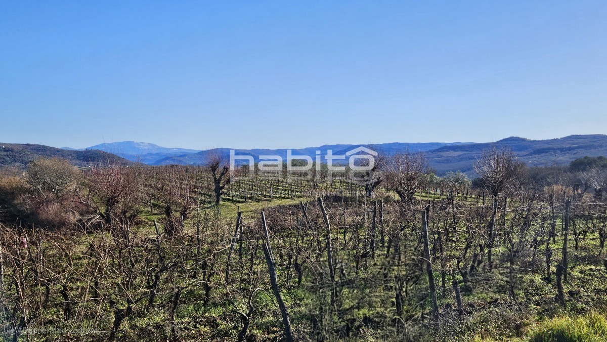 Zona di Grisignana - Casa in pietra, edificio attraente. e agricoltura. terreno con una bellissima vista su Grisignana